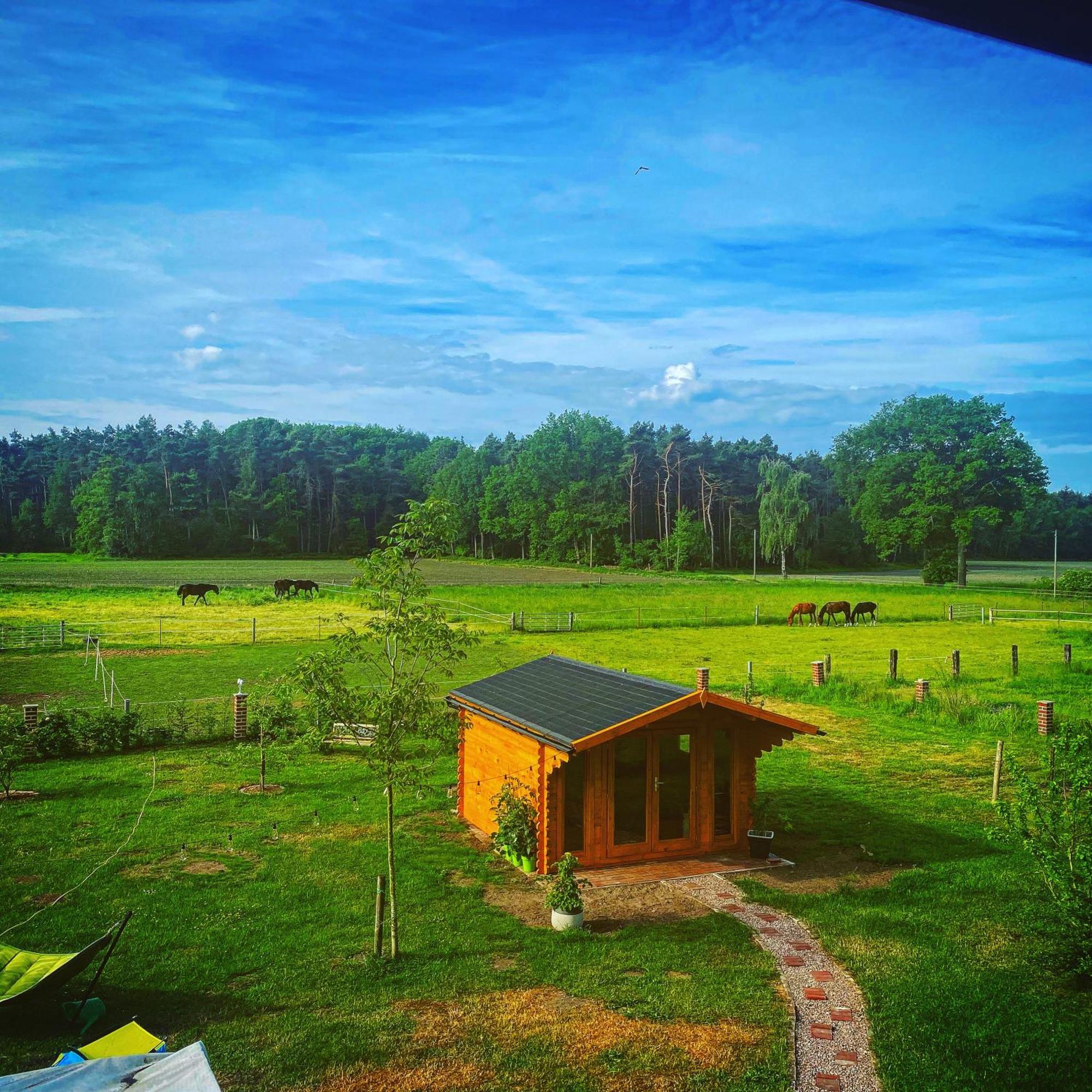 Wunderschoene Ferienwohnung Mit Balkon Auf Dem Bauernhof Greven Luaran gambar
